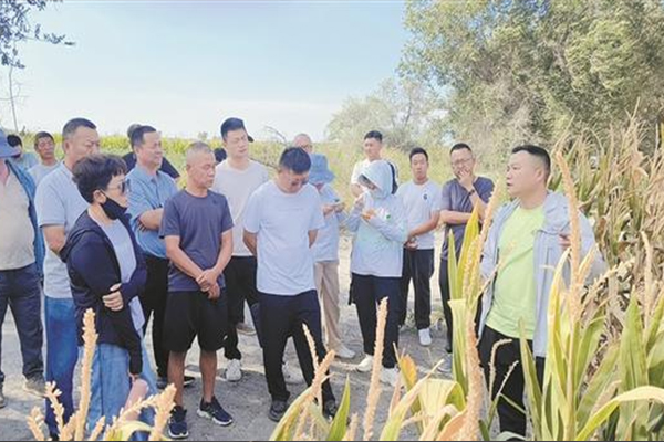 兵團高素質農工培育一線觀察：萬名高素質農工是怎樣“煉”成的？